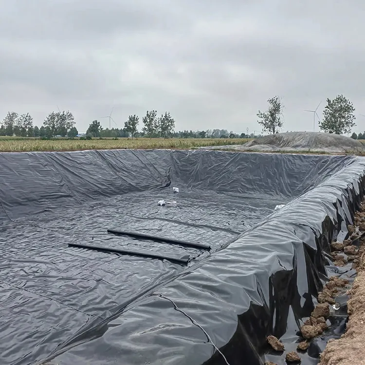 Геомембрана для биогазового котла