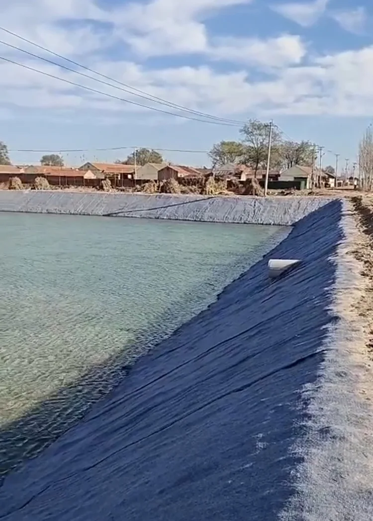 Fish Pond Protection Concrete Blanket