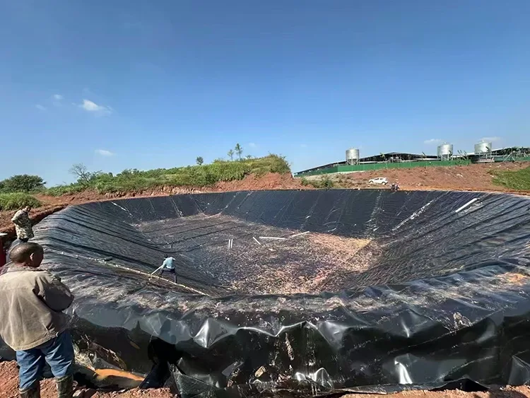 Fish Pond Geomembrane Liner